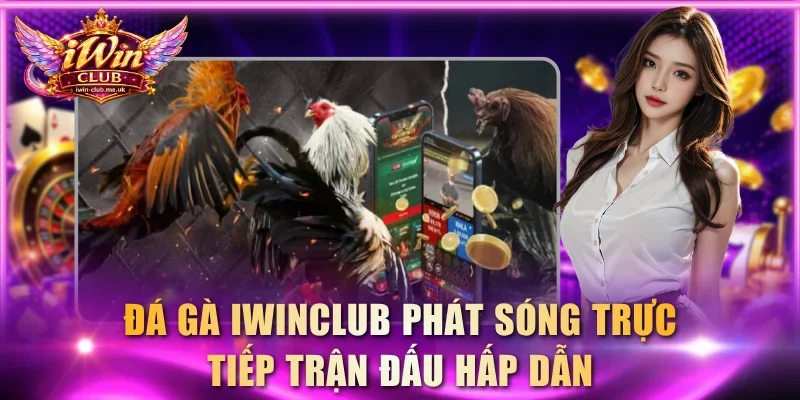 Đá gà IWINCLUB phát sóng trực tiếp trận đấu hấp dẫn