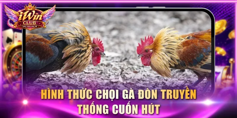 Hình thức chọi gà đòn truyền thống cuốn hút
